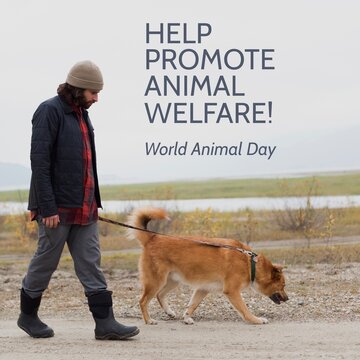 Composition of help promote animal welfare text over biracial man walking dog