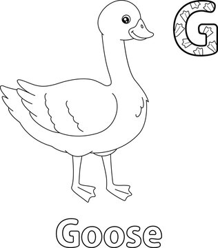 Goose Alphabet ABC Coloring Page G