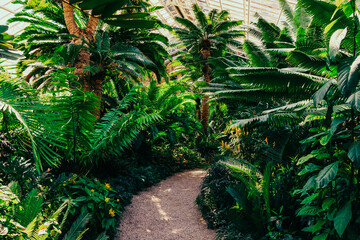 Peaceful and calming interior of blooming greenhouse