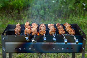 skewers with shish kebab on the grill