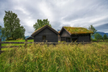 Norway, around Lake Levatnet, characteristic Norwegian houses where the roofs are covered with grass