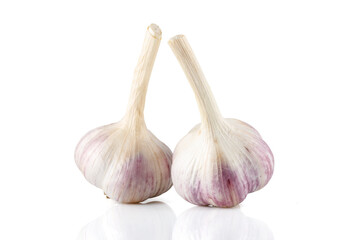 Raw garlic isolated on white background. Full depth of field. Close-up