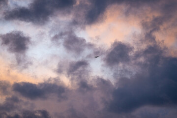 Vogel am farbenfrohem Horizont