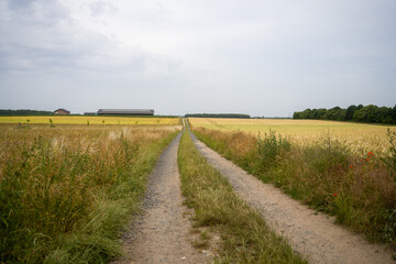 road in the countryside