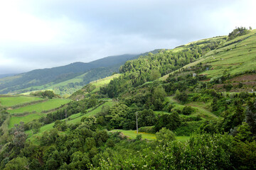 Fototapeta na wymiar plantation in the mountains