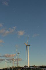 wind power towers in the late afternoon