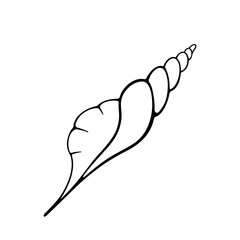 Seashell vector doodle illustration. Hand drawn vector element on white background. Best for seamless patterns, decoration,  and your design.