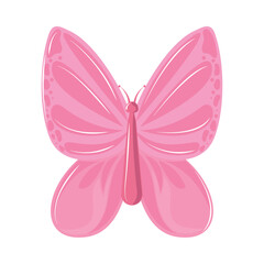 pink butterfly animal
