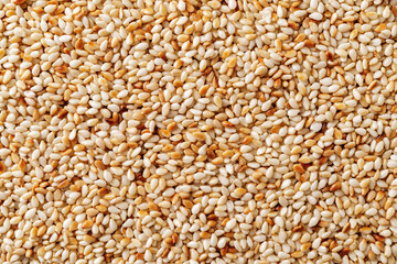Roasted sesame seeds macro background. Texture of toasted Sesamum indicum closeup. Organic benne...