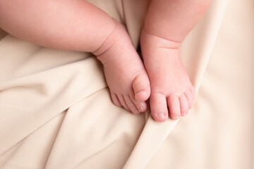 Obraz na płótnie Canvas feet of a newborn baby in cloth. little baby feet. care and comfort. a family. hygiene