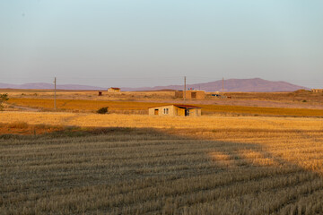 landscape in the evening