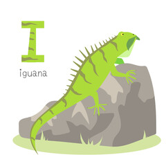 Animals alphabet. I for iguana. Flat vector illustration on white background. Funny cartoon animal. Kids abc education. Learning English vocabulary. Zoo alphabet flash card