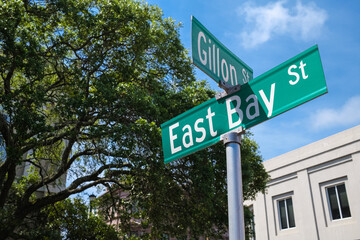 Cityscape of historic Charleston, South Carolina