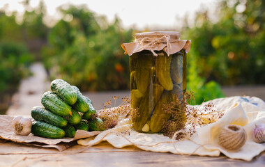 Salted, pickled cucumbers in a jar on a wooden table in the garden. Cucumbers, herbs, dill, garlic. Preservation, conservation. Background, copy space. Sunny bright day.