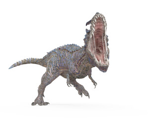 Fototapeta premium dinosaur monster is walking with the mouth wide open on white background