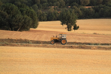 Obraz premium Tractor 