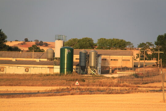 Granja 