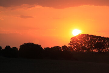 Atardecer 