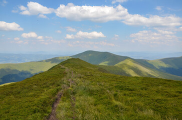 Beautiful summer panoramic landscape, green grassy slopes with wild herbs and flowers on Borzhava mountain ridge in summer. Carpathians, Ukraine