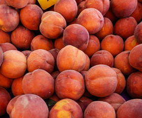 Close-up of ripe peaches at a Farmer's Market.  