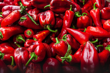 Close-up of fresh red paprika peppers at a Farmer's Market. 