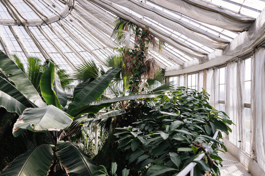 Gew&auml;chsh&auml;user im Botanischen Garten Kopenhagen 