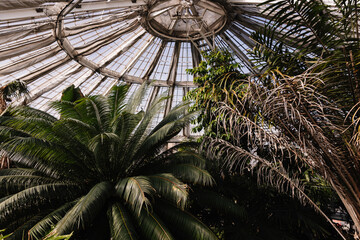 Gew&auml;chsh&auml;user im Botanischen Garten Kopenhagen 