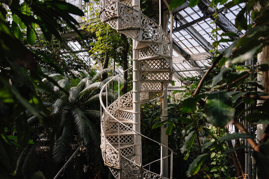 Gew&auml;chsh&auml;user im Botanischen Garten Kopenhagen 