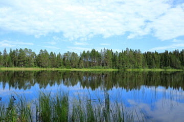 Summer lake with plenty of reed. Cloudy sky. Reflection in the water. Krokom, Jämtland, Sweden, Europe.