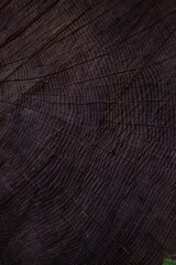 Wooden texture