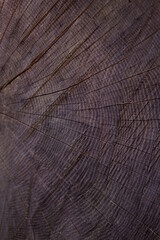 Fototapeta premium Wooden texture
