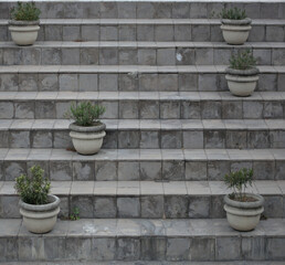 Gray pots with small plants on ladder
