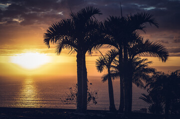 Obraz premium amazing sunset over the sea