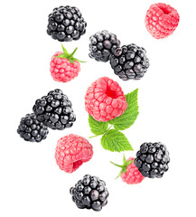 levitating raspberries and blackberries on a white isolated background