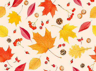 seamless pattern of autumn leaves, cones, berries and nuts on a light background