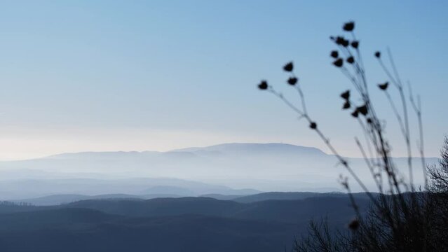 Beautiful mountains and clear blue sky on a cold, foggy winter day. Shallow depth of field. Dry flowers out of focus swaying by the afternoon breeze in the foreground. Calm nature scenery from Hungary