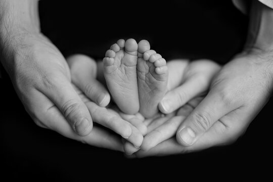 parents mother father in hands baby newborn feet toes hands black white mom dad