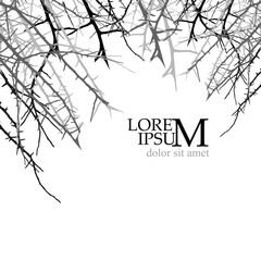 Natural tree branches silhouette on a white background. Background with bare tree branches. Vector illustration