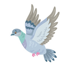 Gray dove is flying. In cartoon style. Isolated on white background. Vector flat illustration.