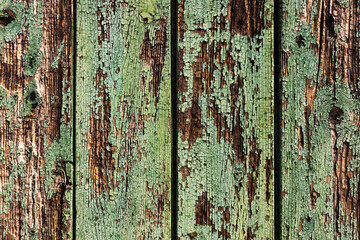 Wooden Green Fading Background Full frame