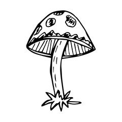 hand drawn mushroom, black and white vector