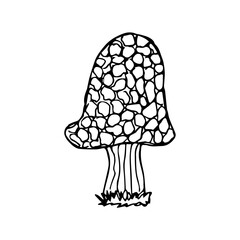 hand drawn mushroom, black and white vector