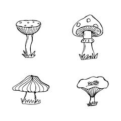 set of hand drawn mushrooms, black and white vector