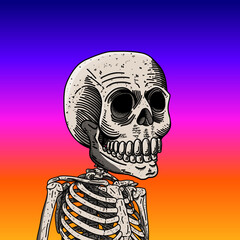 Calavera mexicana con personalidad única. Calavera base de la colección.