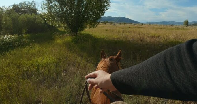 Point of view shot of woman horseback riding through meadow at sunset