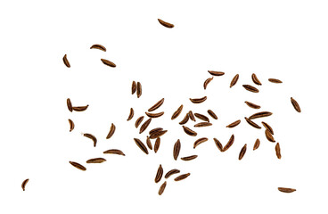 Caraway Seeds