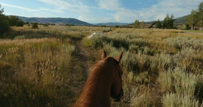 Point of view shot of woman horseback riding through meadow at sunset