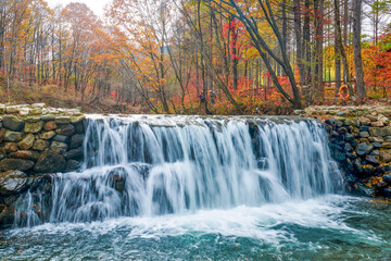 Fototapeta na wymiar Autumn maple leaves and stream landscape.