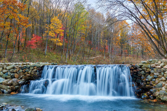 Autumn maple leaves and stream landscape.