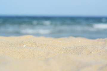 Beautiful sandy beach near sea, closeup view